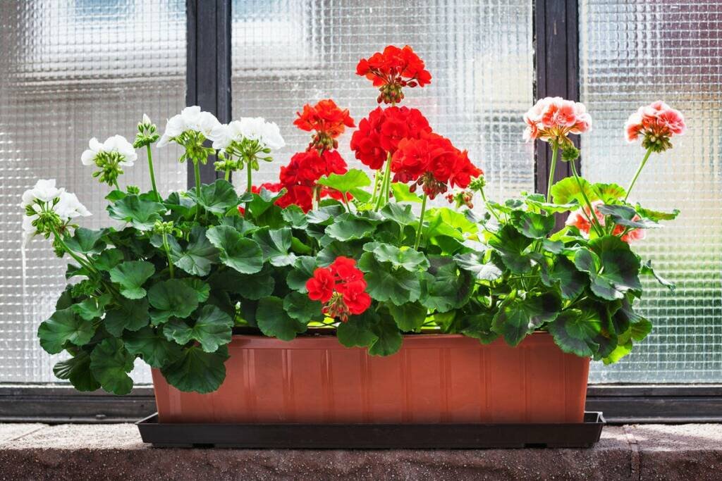 фото с сайта mykaleidoscope.ru