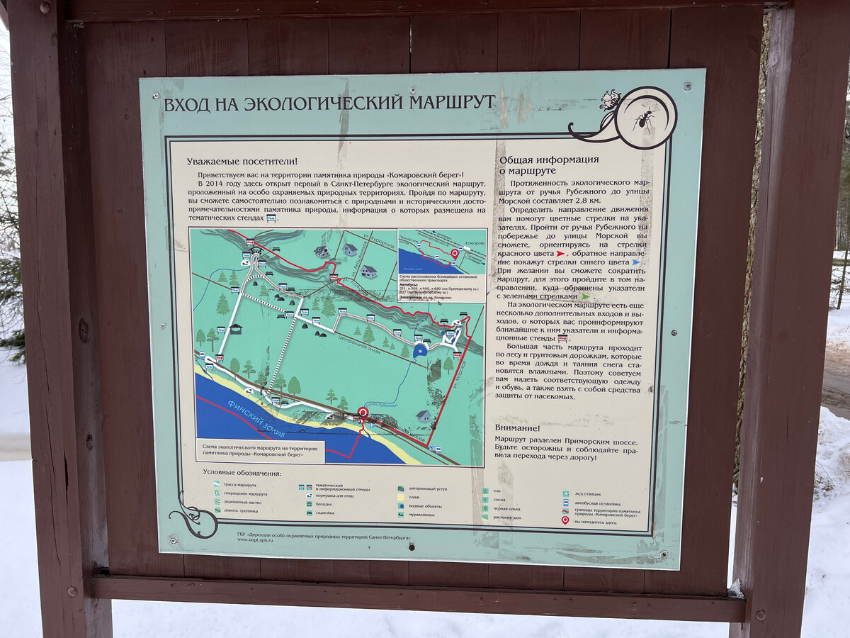 Экологический маршрут Комаровский берег