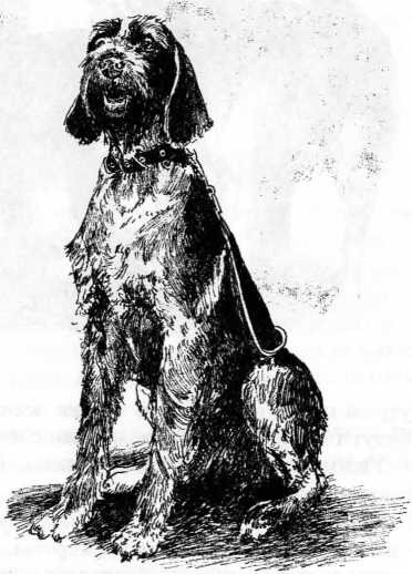 Рассказ из жизни // Илл.: Художник Виктория Кирьянова