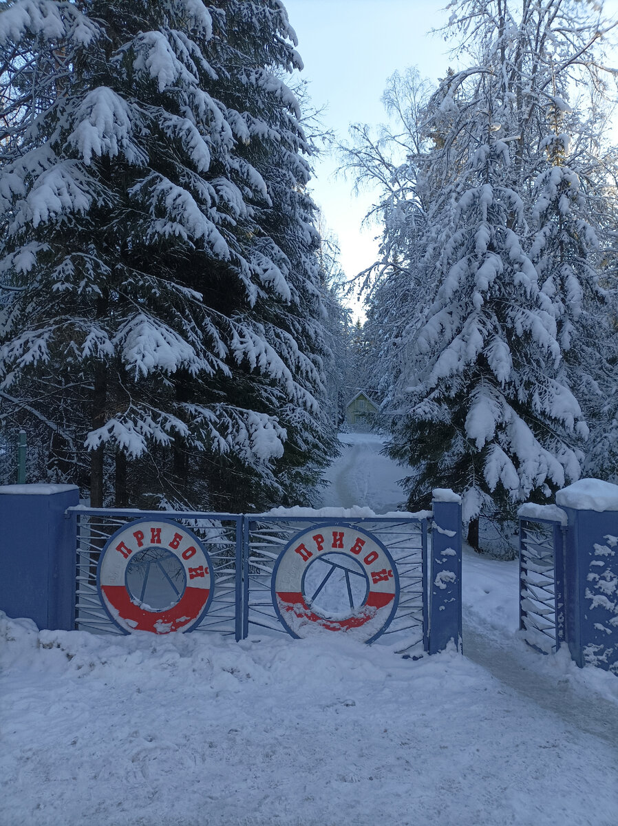 Ворота лыжной базы «Прибой».