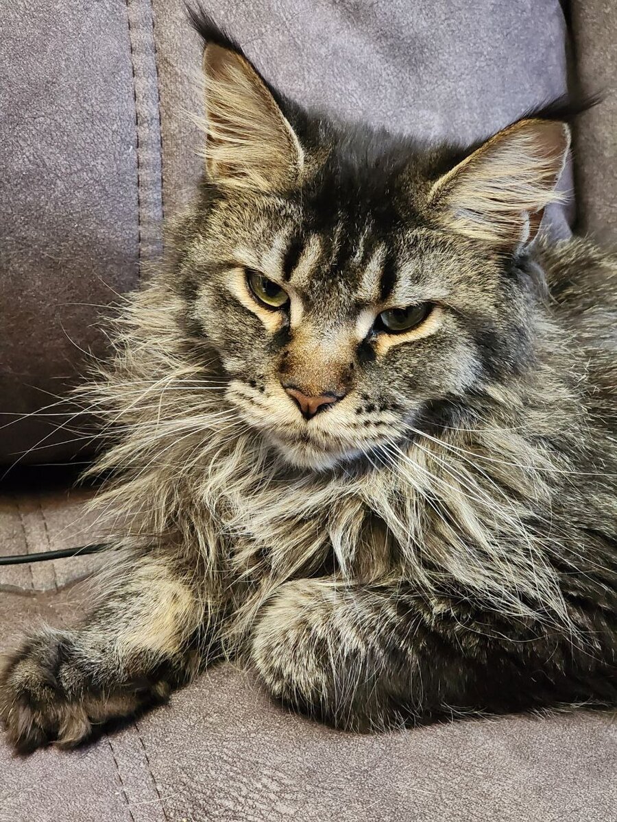 Фото из личного архива.