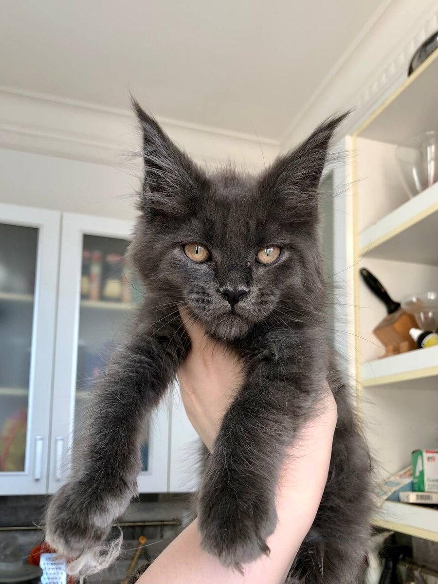 Фото из личного архива.