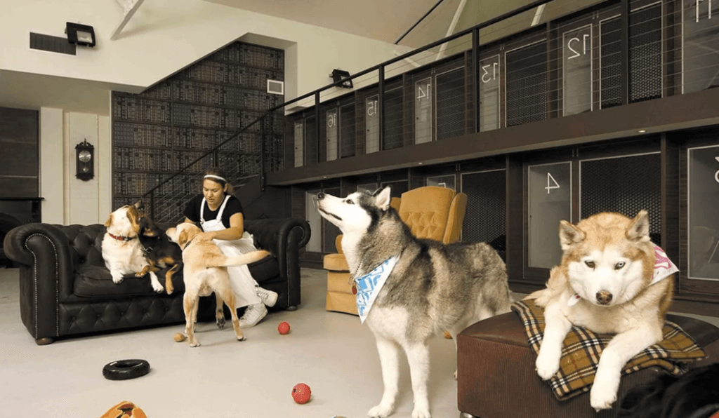 Зоогостиница