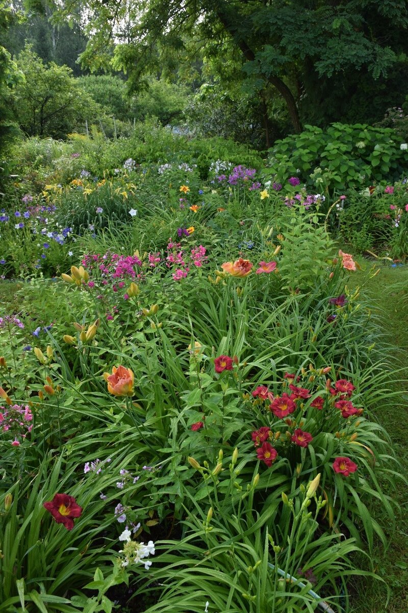 2. В галерее 6 фото, листайте