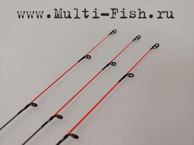 Спорт фидер