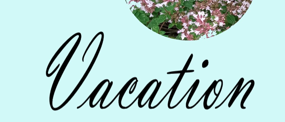 Vacation, баннер