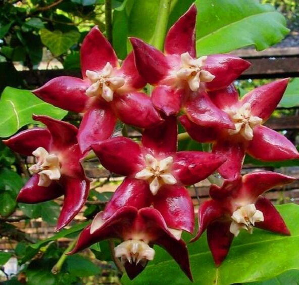 Фото интернет 