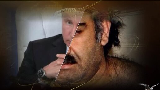 Миграция картинки. Миграция фото. Миграция видео. Миграция людей. Мигранты в европе.