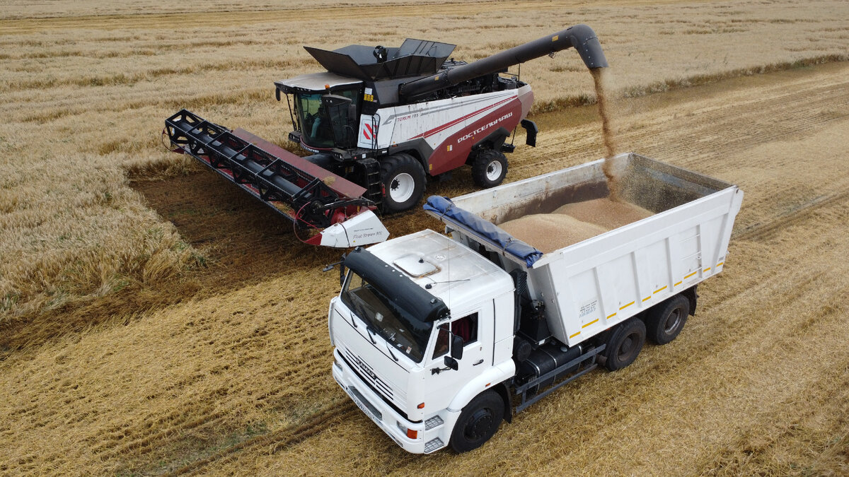 Комбайн Ростсельмаш на уборке в поле