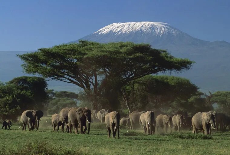 Природа Кении/ © youtravel.me