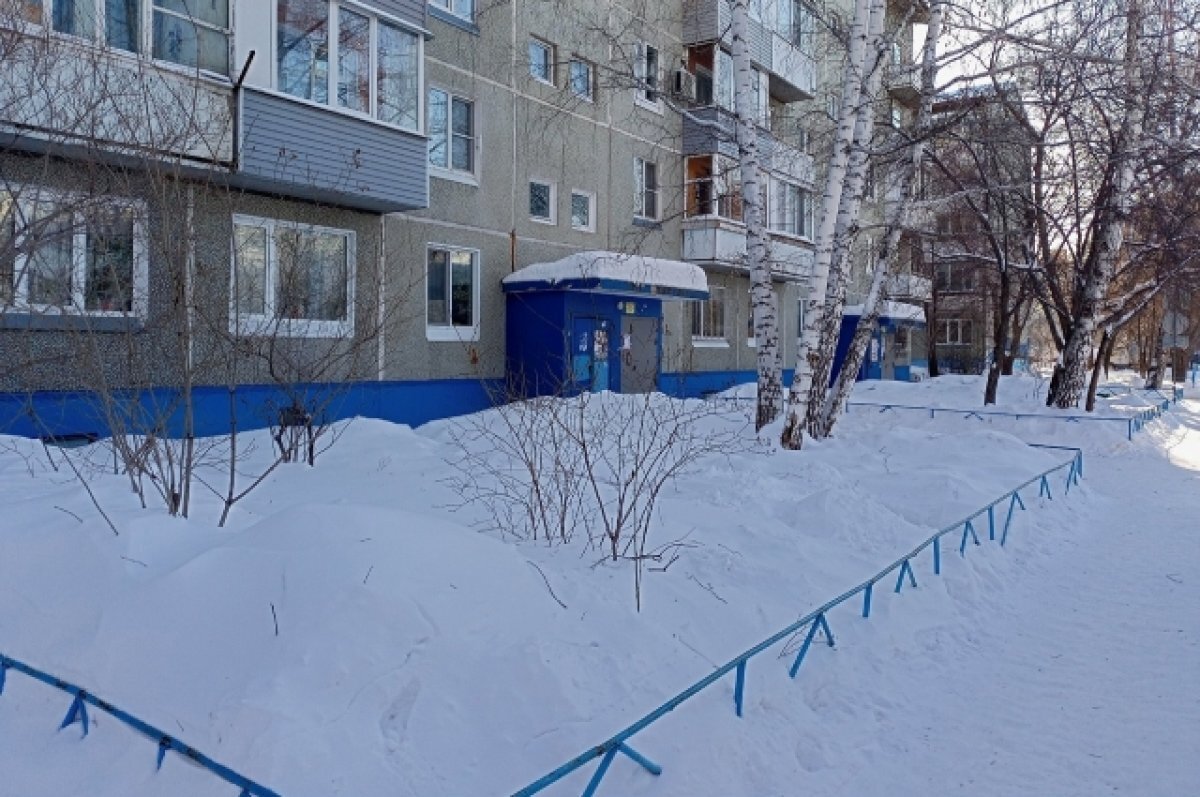    Омичка, едва не убившая внука и мать, пыталась разбить авто соседей