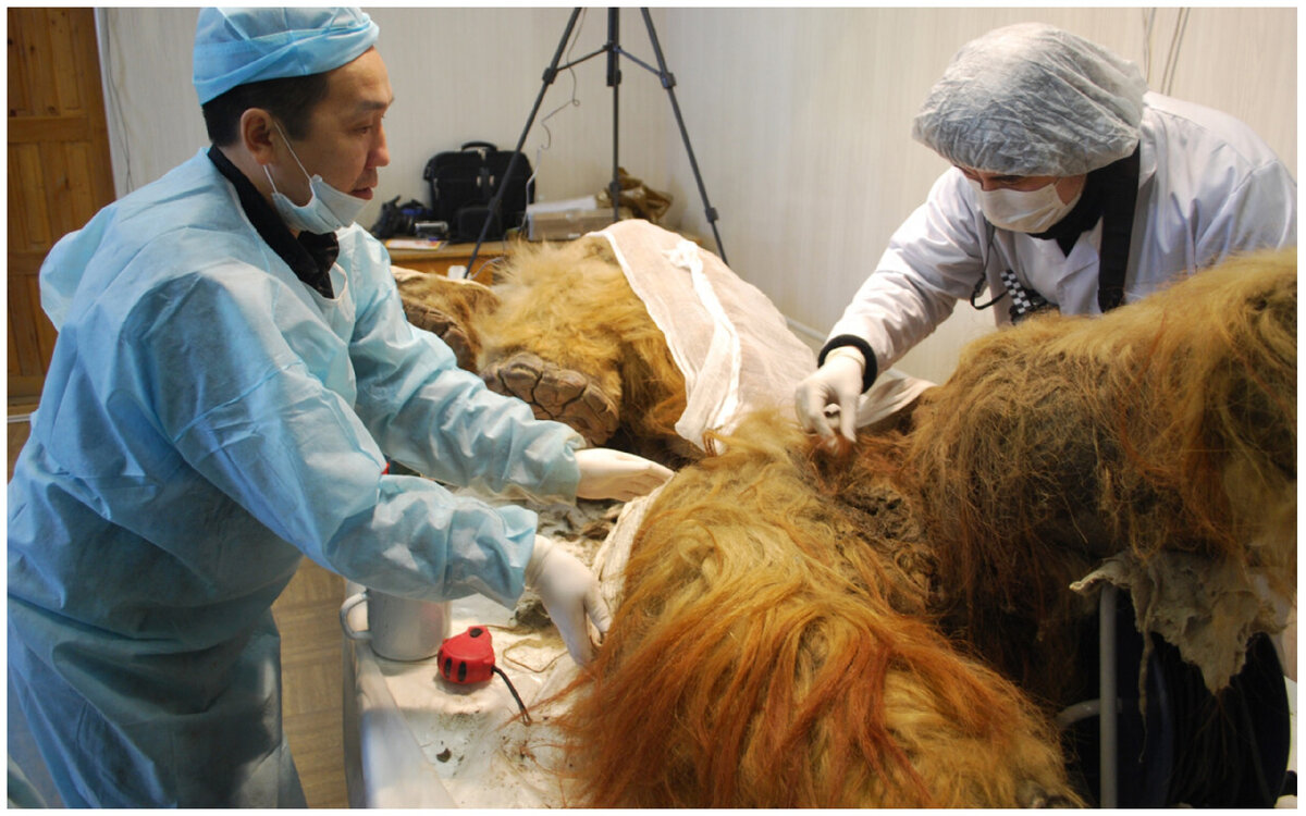 Болот Бочкарев/Sputnik