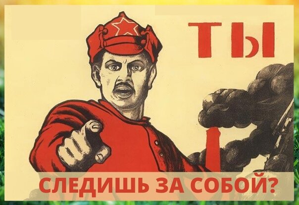 Картинка из Интернета