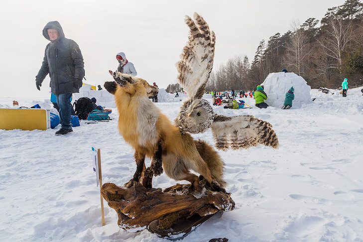    Фото Андрея Заржецкого, VN.ru