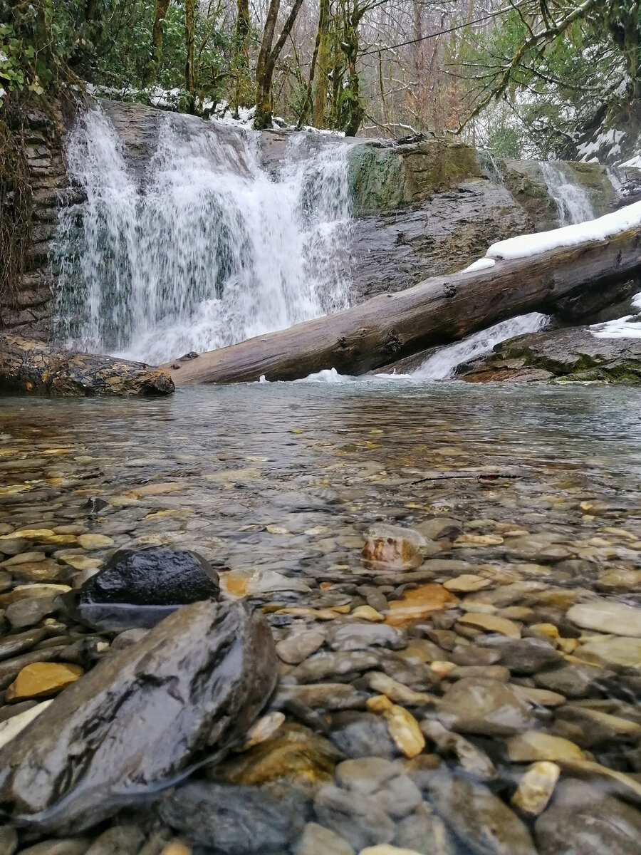 Ореховский водопад в Сочи - самый легкодоступный и очень красивый! |  Анапчанин с собакой | Дзен