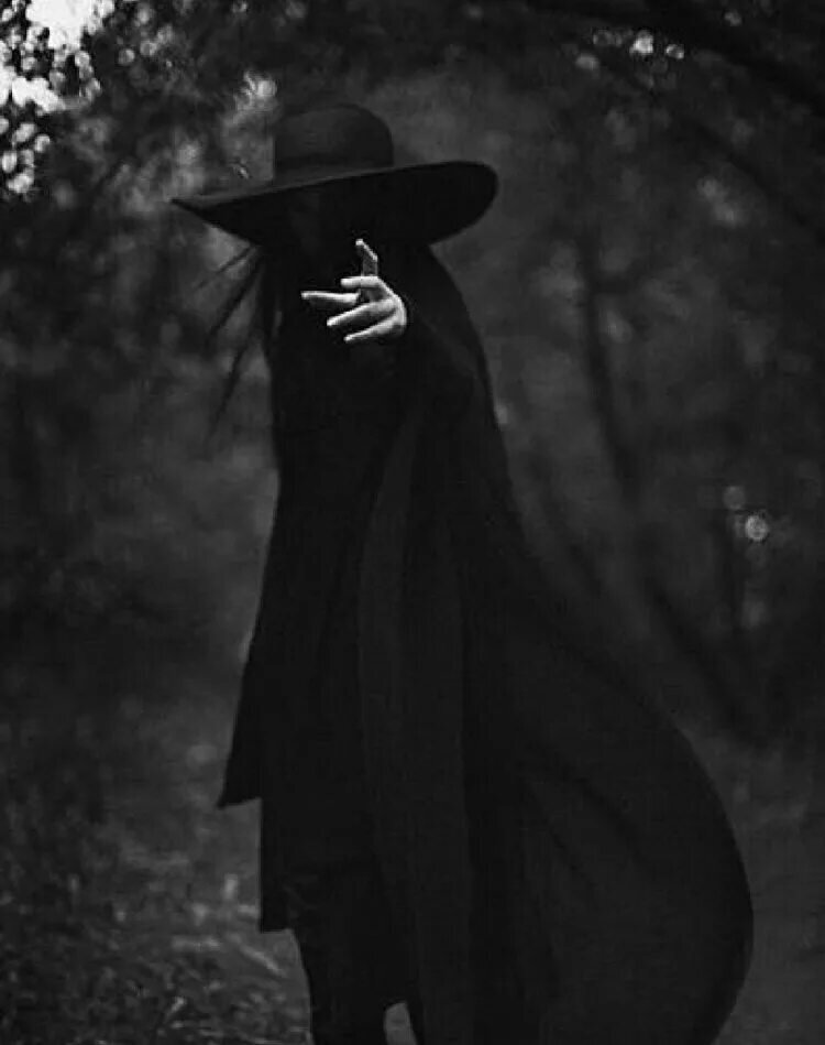 Изображение взято из открытых источников интернета. 