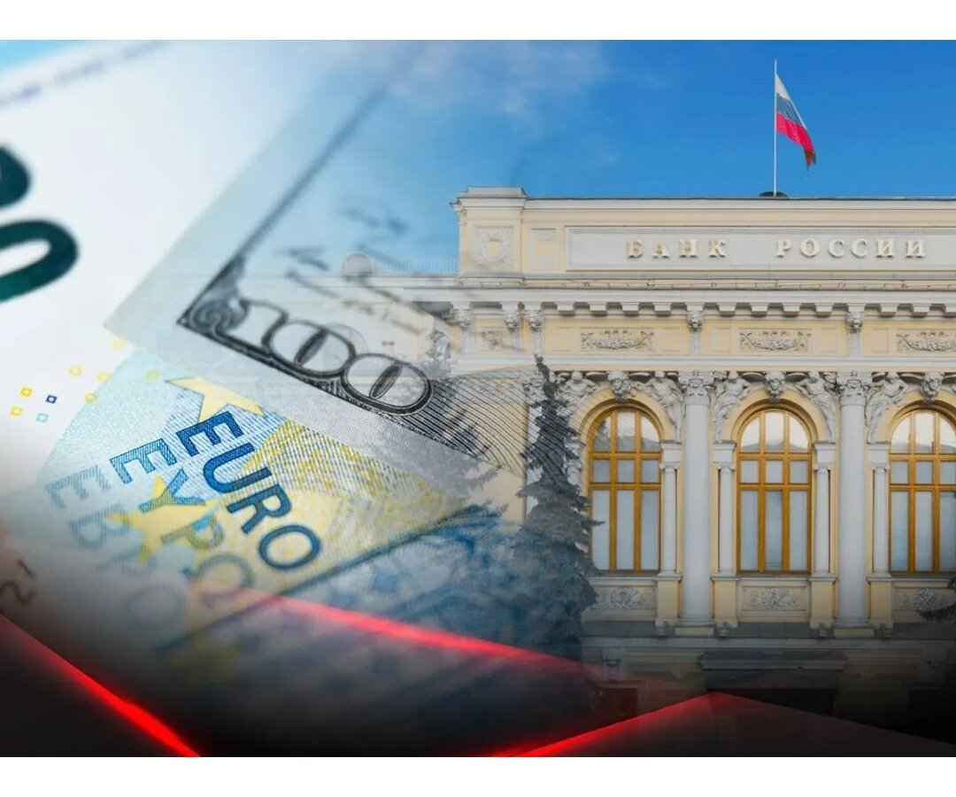 Фото из интернет 