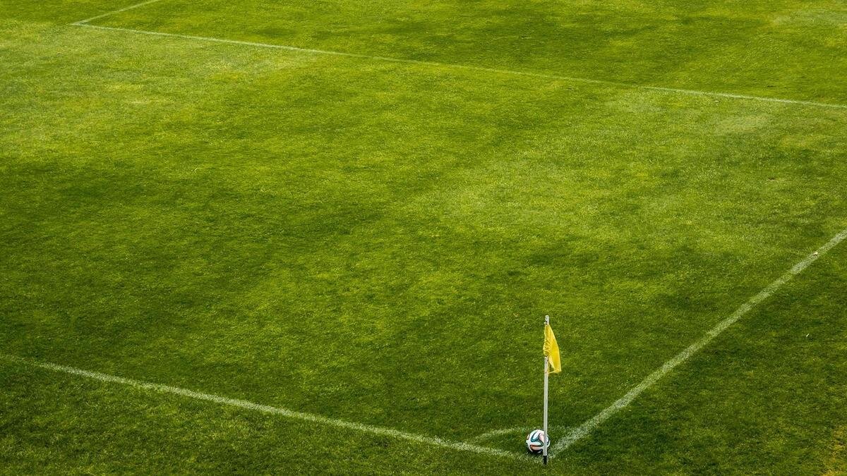    Футбольное поле. Иллюстративное фото:pexels.com