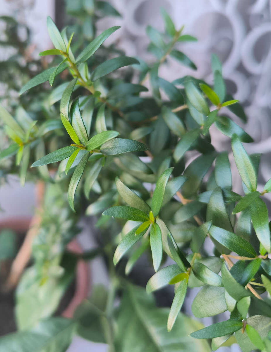 Всё фото автора канала. 