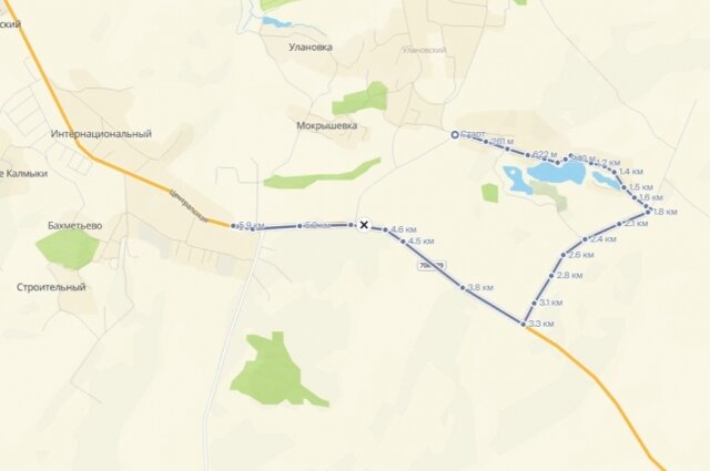    Небольшой дорогой соединялись два населённых пункта Киреевском районе. Теперь же приходится делать немалый крюк. Фото: Скриншот Яндекс.Карты