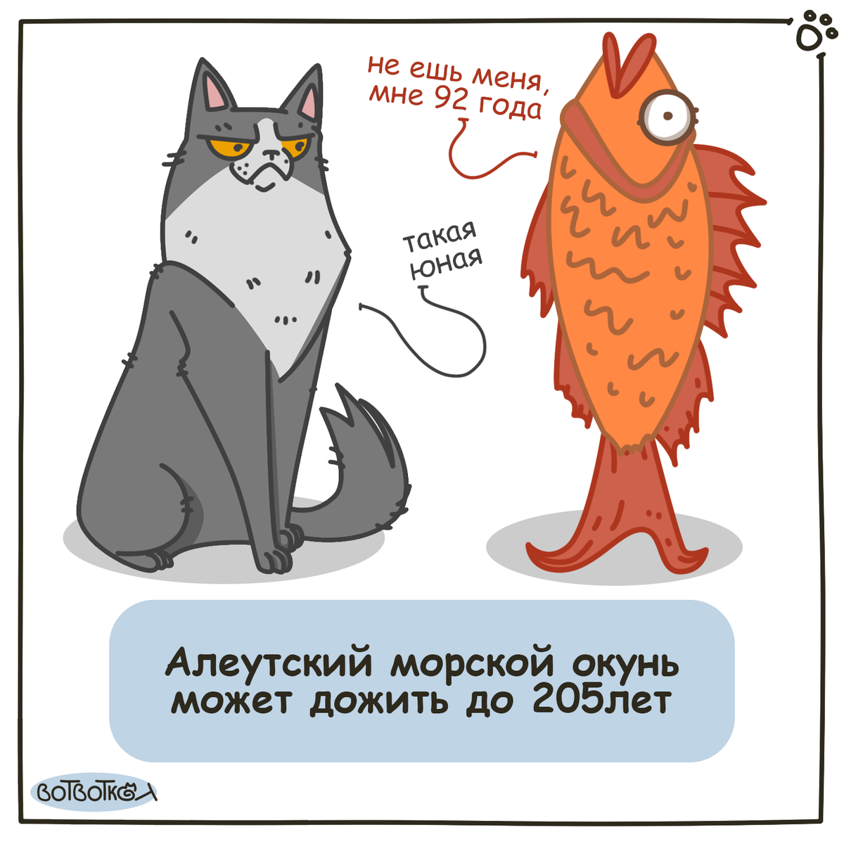 Комикс - котики и рыбы