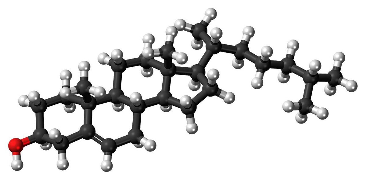 Wikipedia📷Молекула холестерина