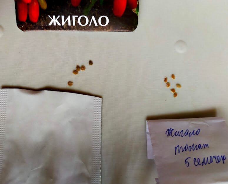 Томат "Жиголо" покупной и свой. Свои более светлые, покупные опять пересушены.