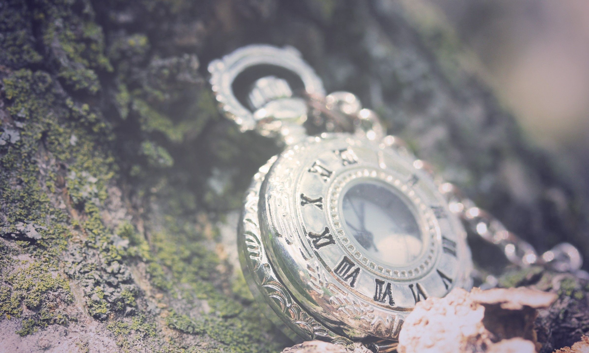 картинки Яндекс