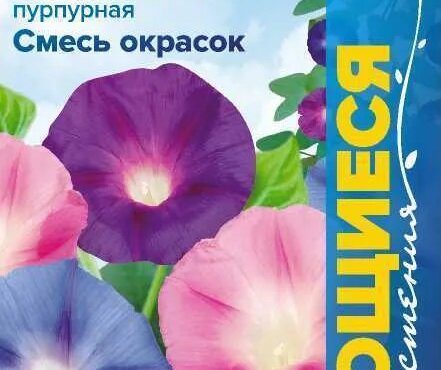 А эту можно сажать