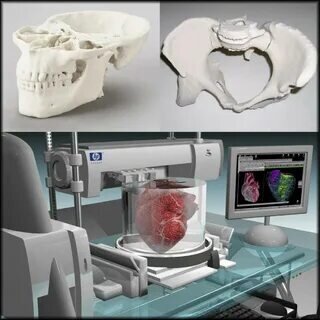 Все картинки взяты из интернета.