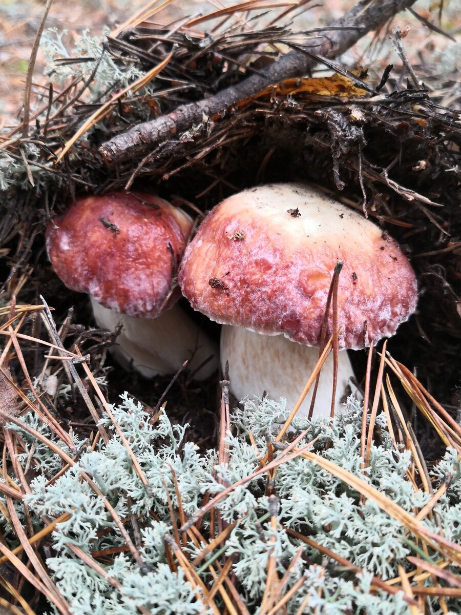 Автор фото Майя