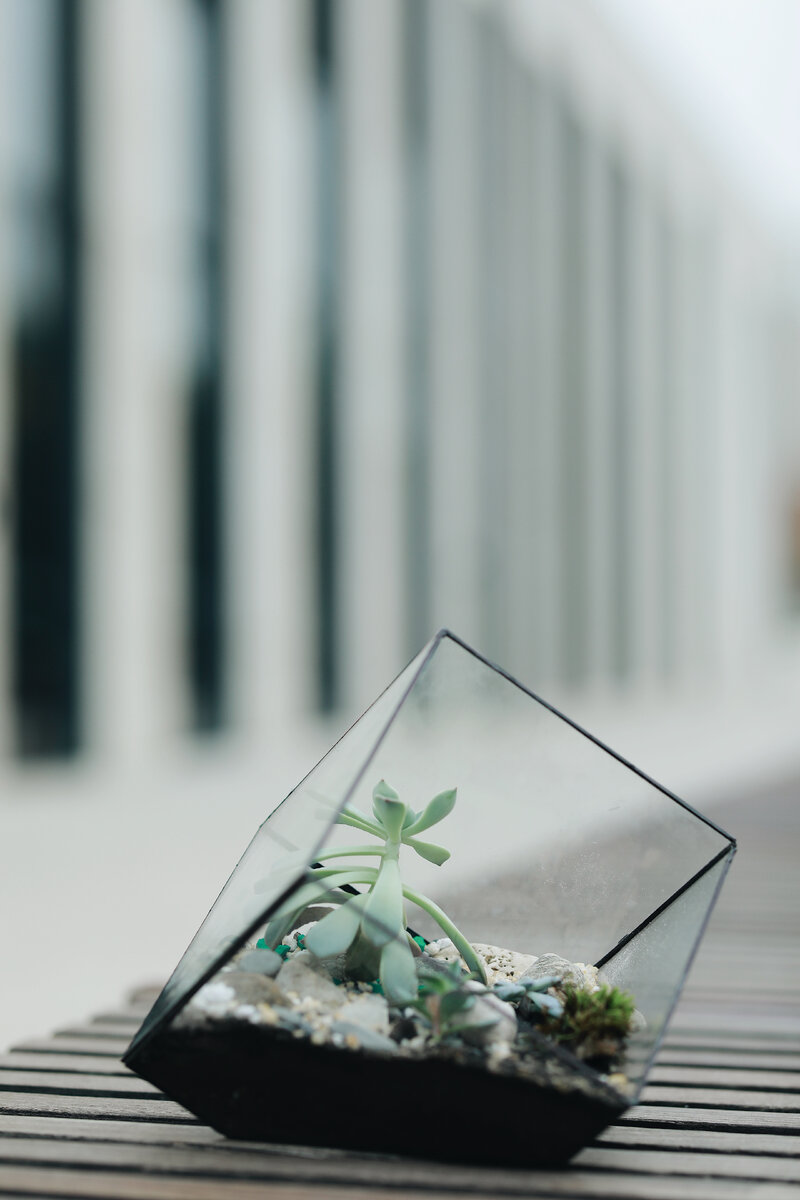 crystalpots.ru