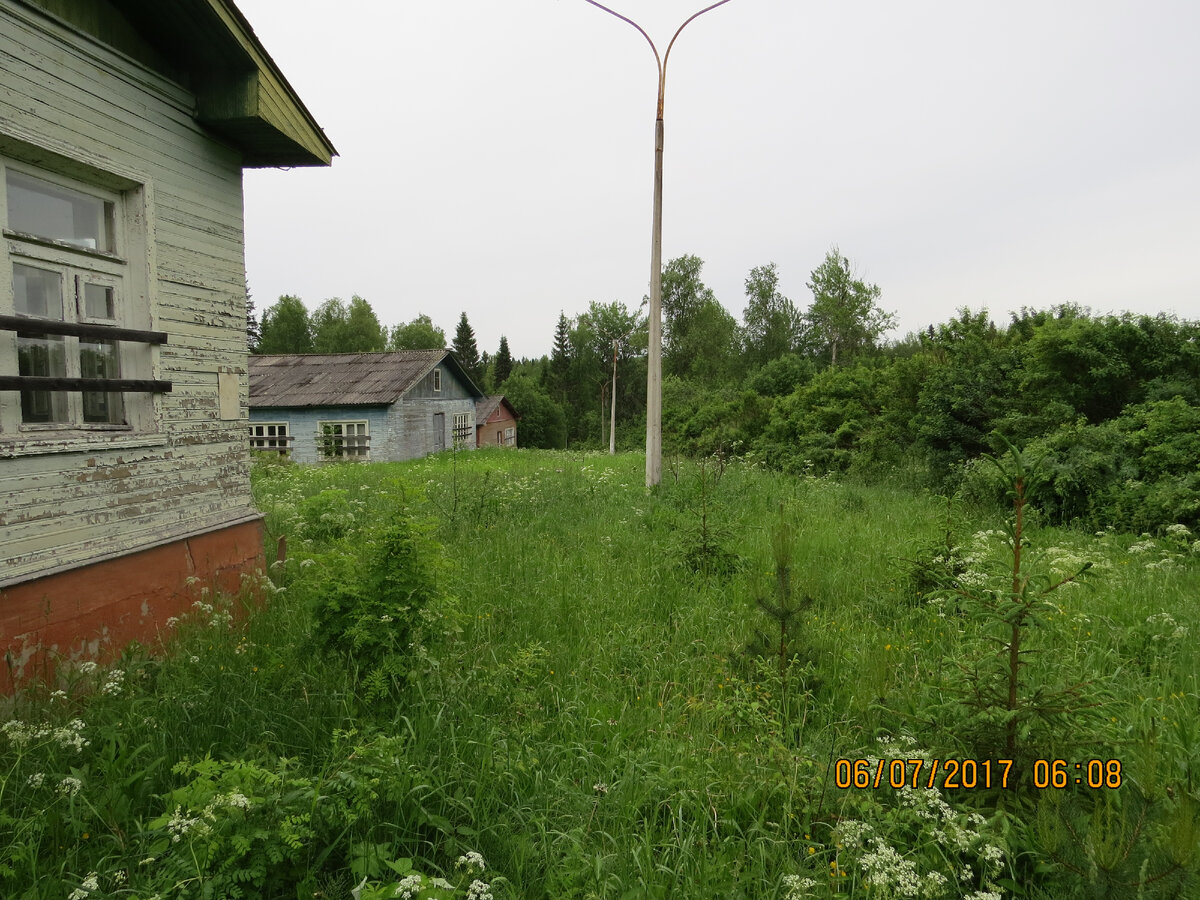 Деревянные корпуса. Ещё даже не совсем разрушенные и разграбленные. По молодым сосенкам и ёлочкам видно, что лет шесть - семь назад территорию как-то содержали...