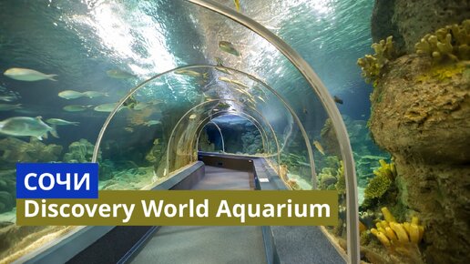 Сочи. Самый большой океанариум в России - Sochi Discovery World Aquarium. Отправляемся в новое путешествие