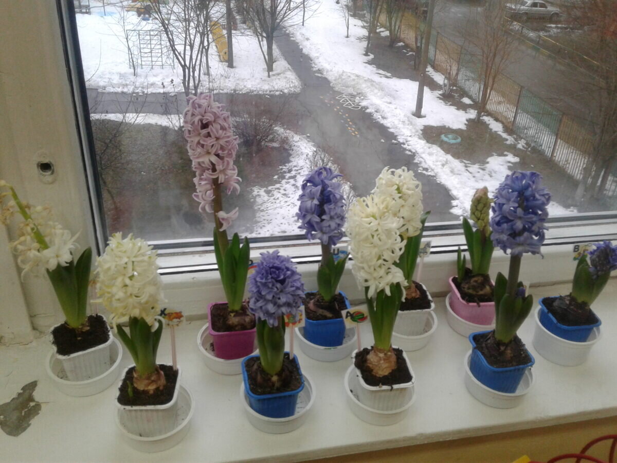    Фото предоставлено автором