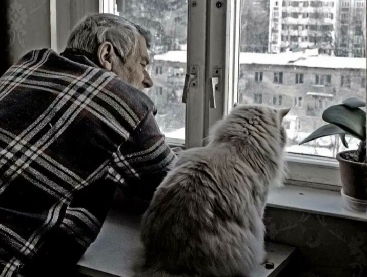 5 причин почему кота надо заводить одинокому мужчине, а не женщине