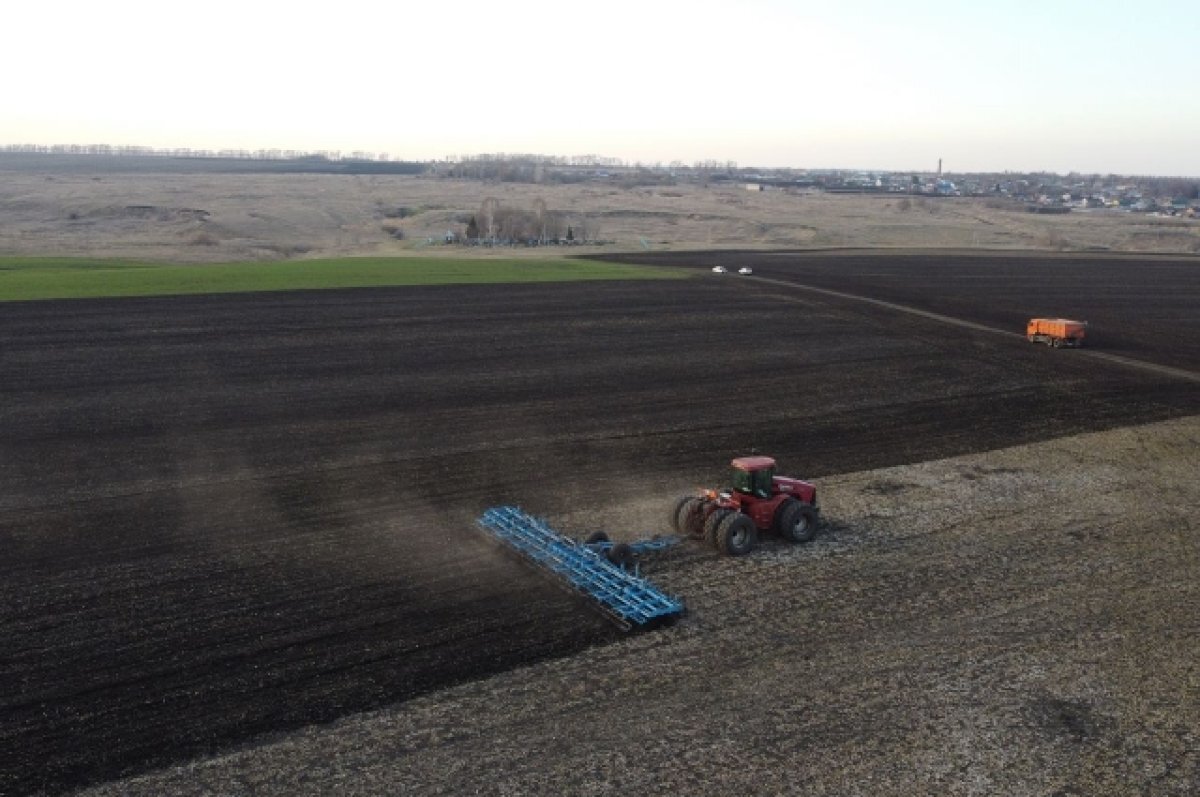    Посевные площади и количество скота снизились в Забайкалье за 2023 год