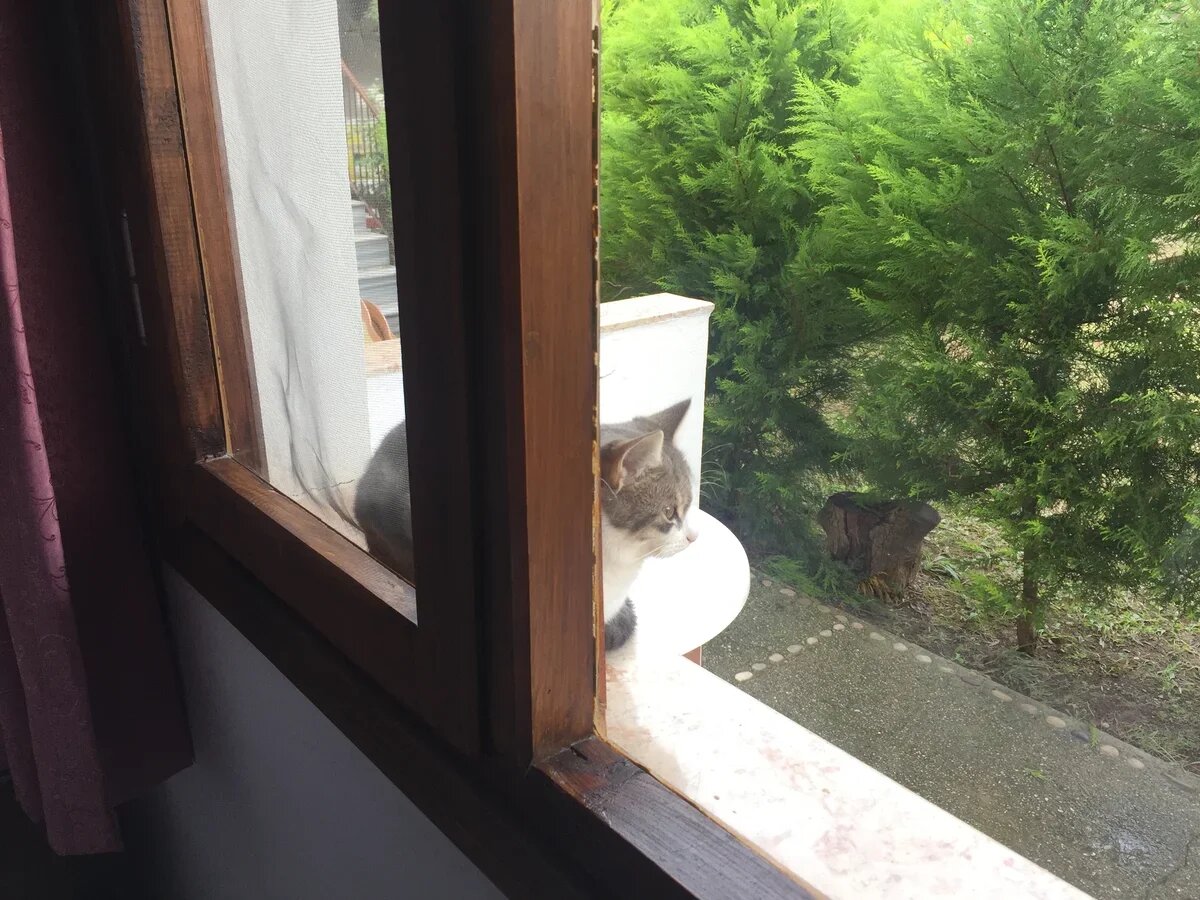 Гостевой дом в Чиралы, Анталья, Турция Фото АТОР 