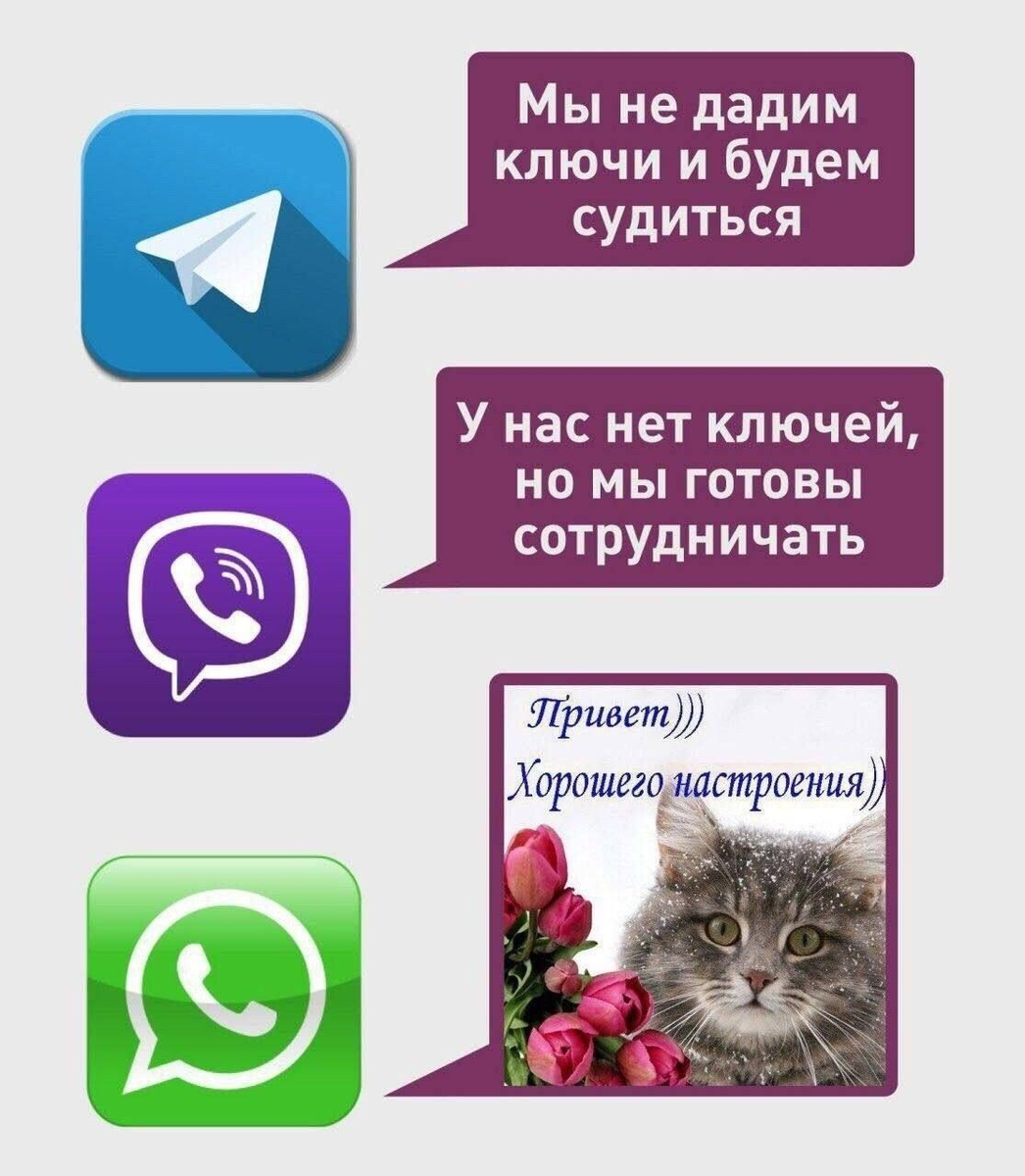 Как появились Viber, WhatsApp и Telegram? | Этому не учат в школе | Дзен