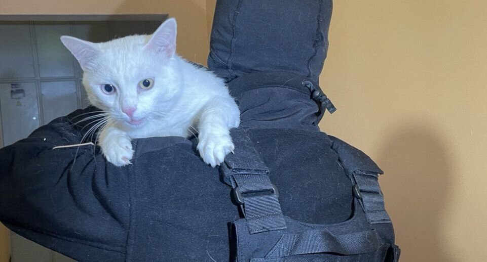    Телеканал «360»