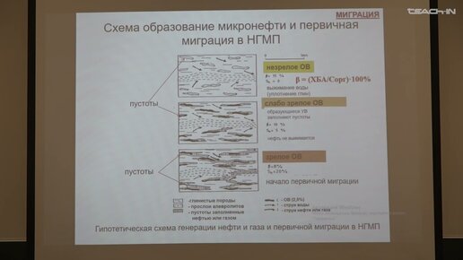 Соболева Е.В. - Геология и геохимия горючих ископаемых.Ч.2 - 3. Первичная миграция нефти и газа