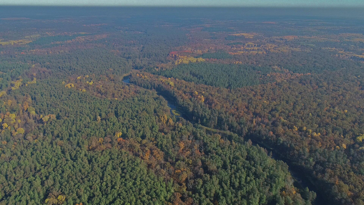 Воронежский биосферный заповедник им. В.М. Пескова, снимки с квадрокоптера. Фото: Игорь Воробьев