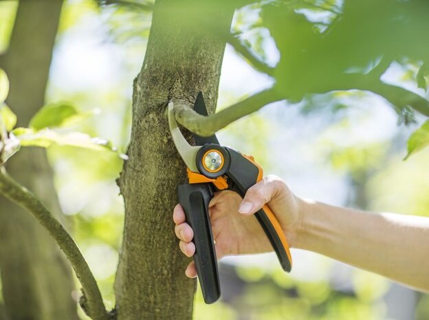 Источник фото https://www.yandex.ru/images/