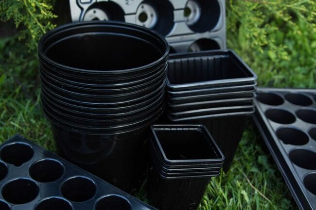 Бабкина дача 2 старая купавна. Садоводов 11. Кедровка березовский. Садоводов 11. Садоводов 11.