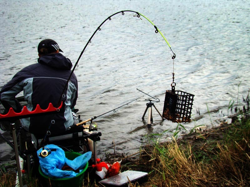 Фото с сайта: https://1fisherman.ru/media/2020/10/fider-1.jpg