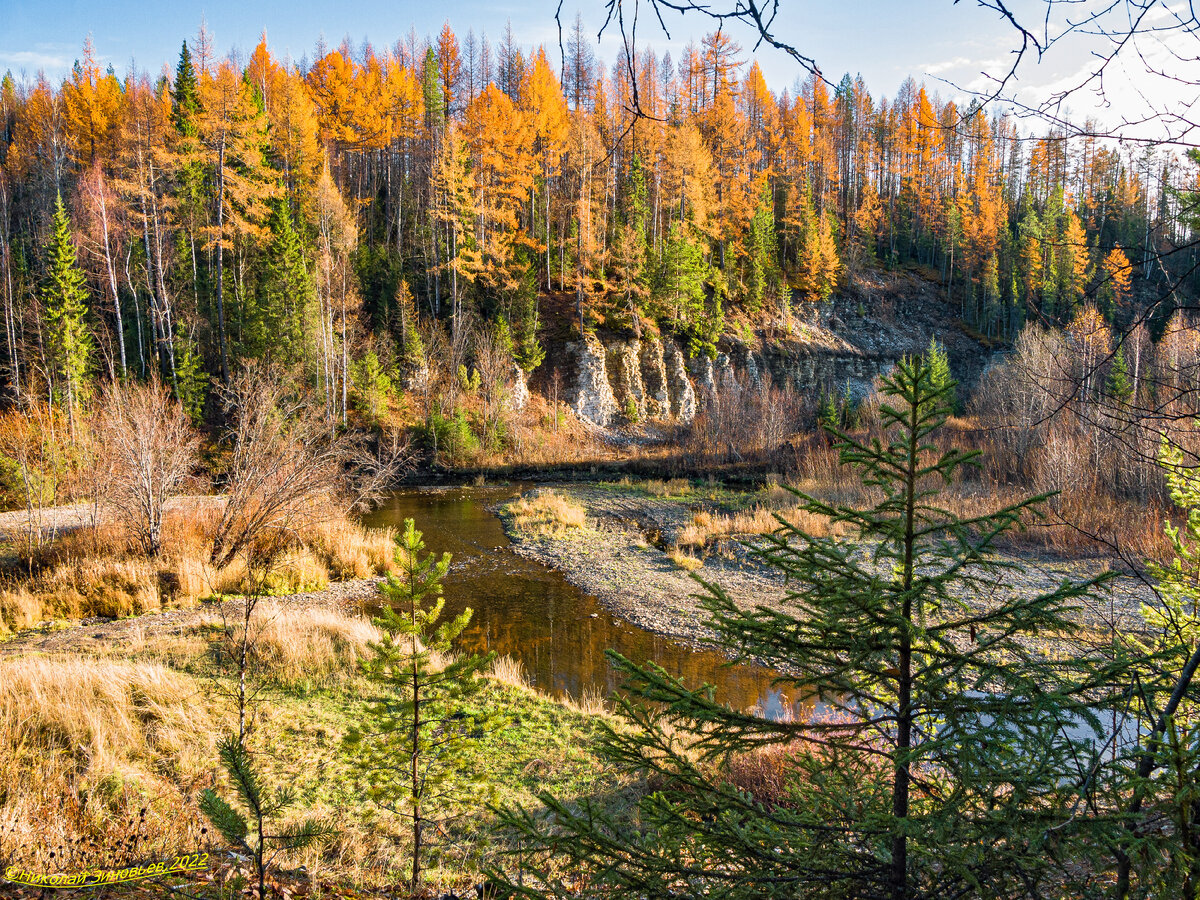 Доманик в районе пгт. Шудаяг примерно в 7 км от Ухты в октябре. Виден скальный выступ.