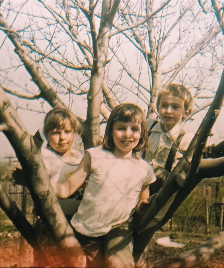 Любимое дерево на базе отдыха