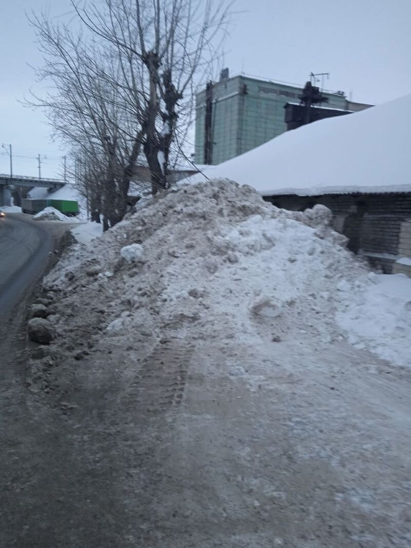 житель сызрани помыл в волге свою сосиску