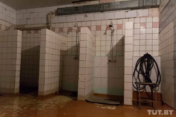 Фото Яндекс картинки
