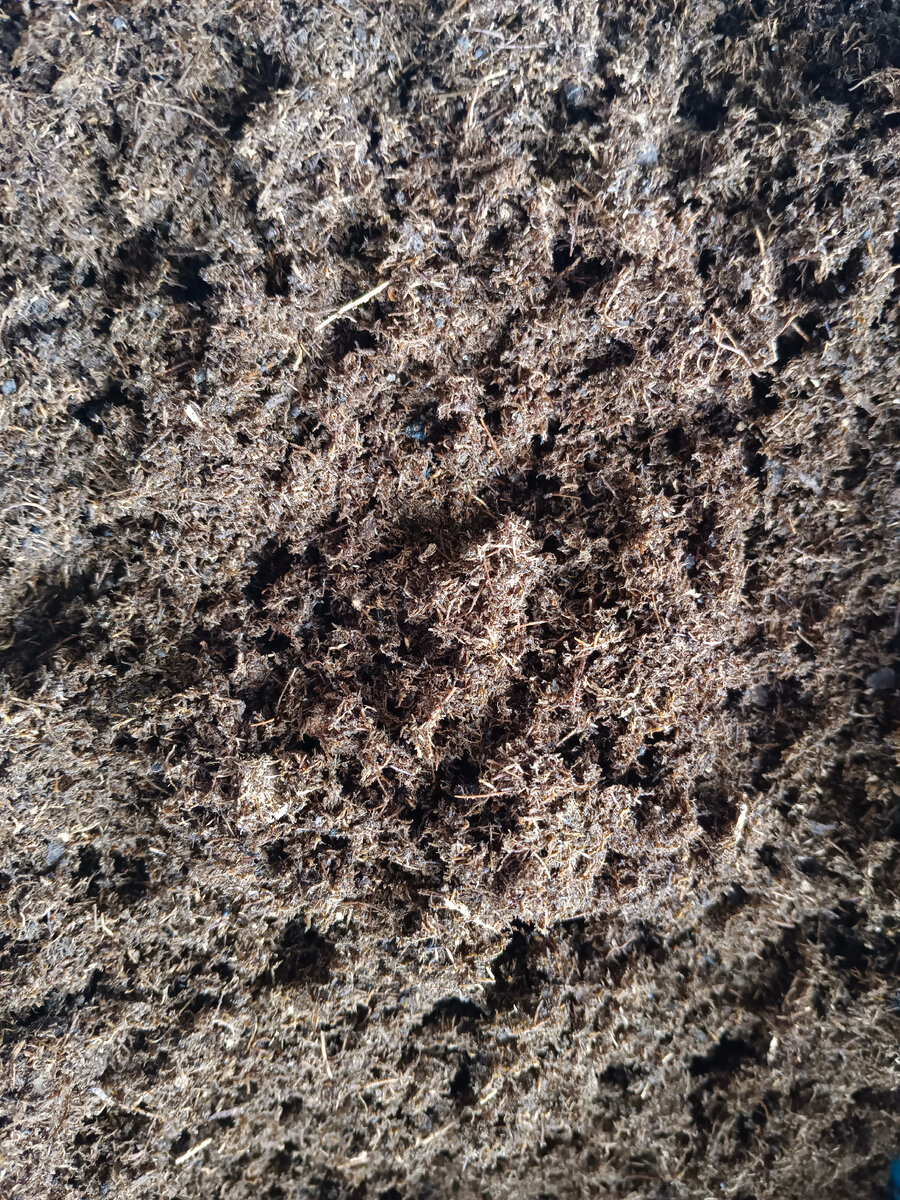 пушистый, легкий, однородный грунт из почвобрикета